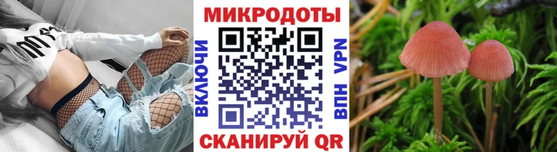 Псилоцибиновые грибы мицелий  Купить где  Пушкино 